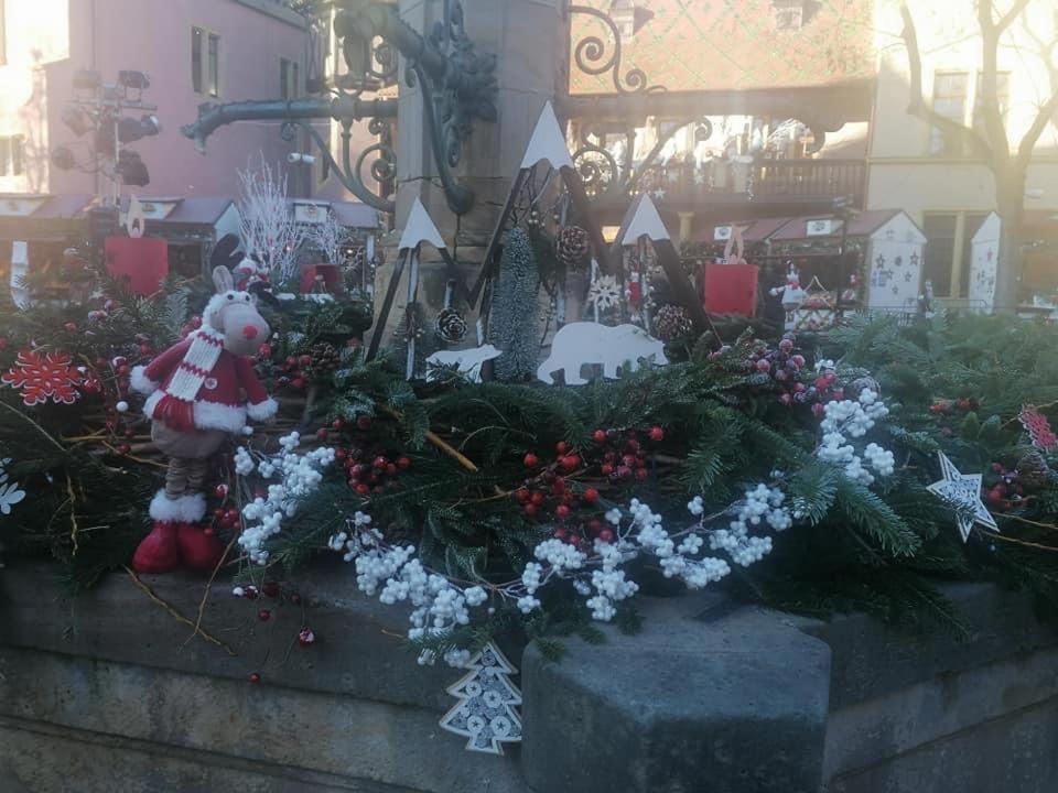 Gite Les Lavandieres Колмар Екстериор снимка