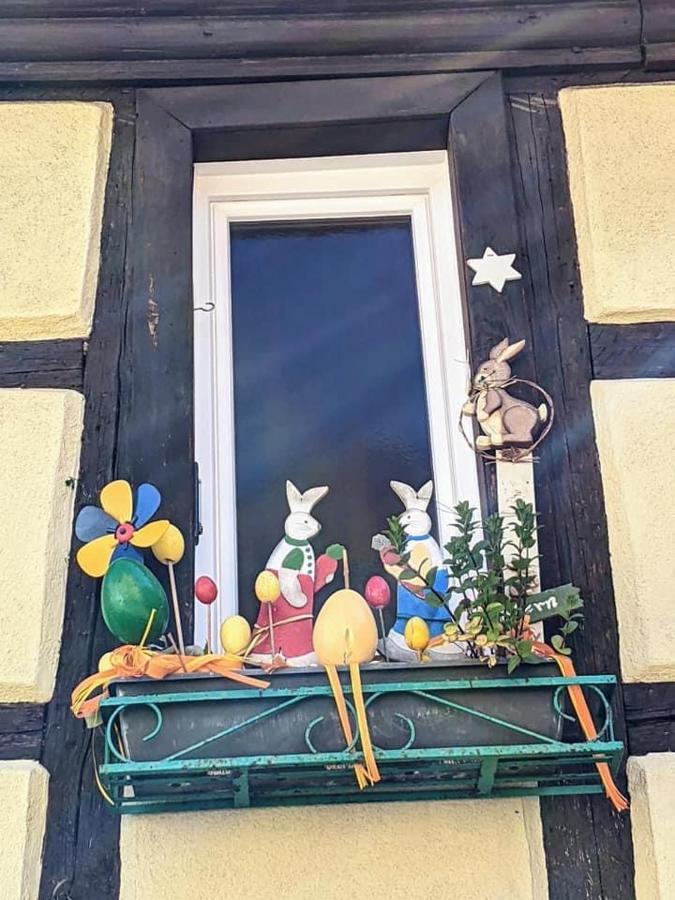 Gite Les Lavandieres Колмар Екстериор снимка